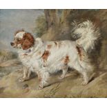 Sir Edwin Henry Landseer, RA (British, 1802-1873) A Marlborough Spaniel