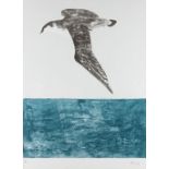 Dame Elisabeth Frink R.A. (British, 1930-1993) Shearwater, from 'Seabirds' Lithograph printed in ...