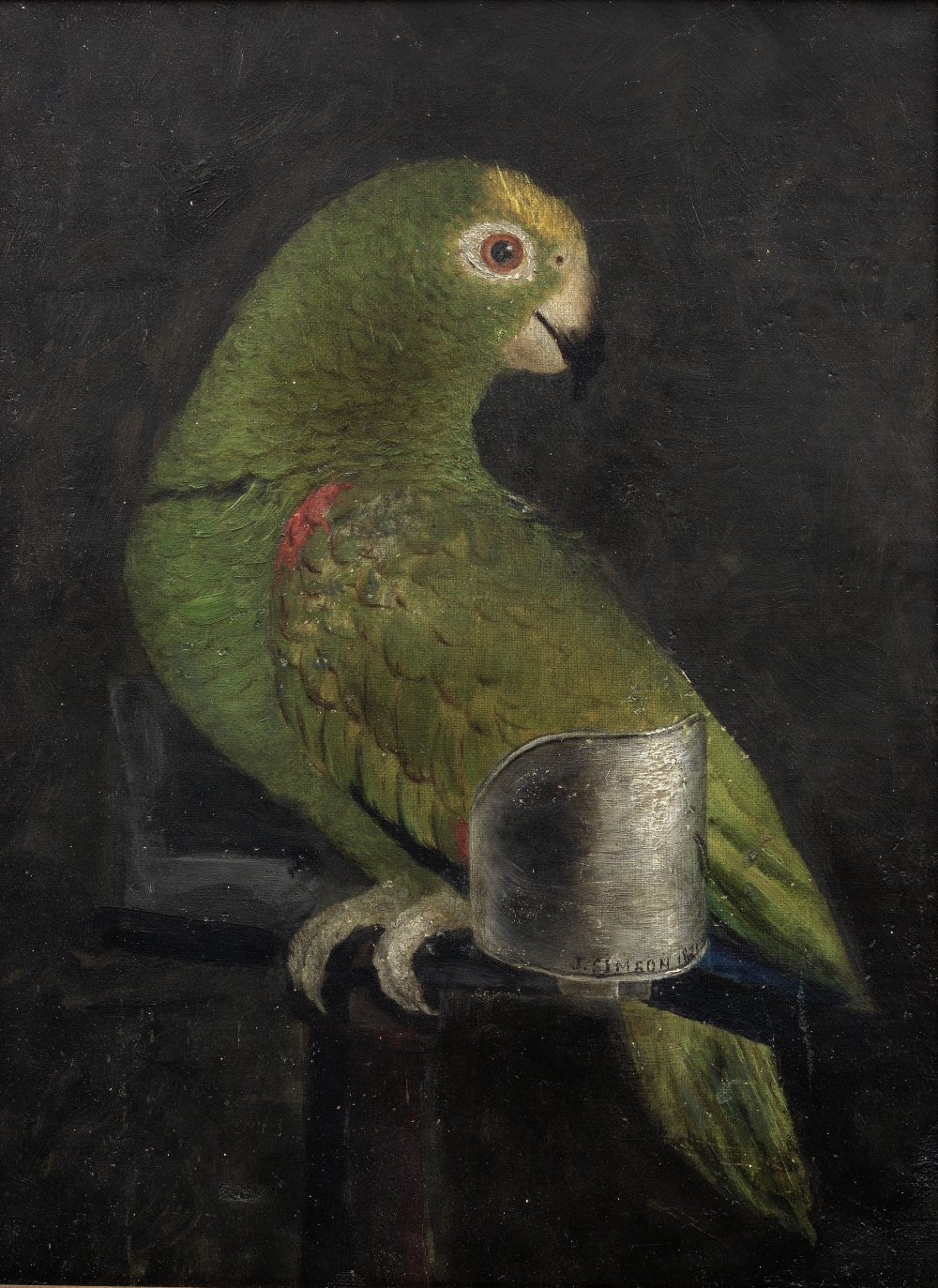 English School (19th Century) A green parrot