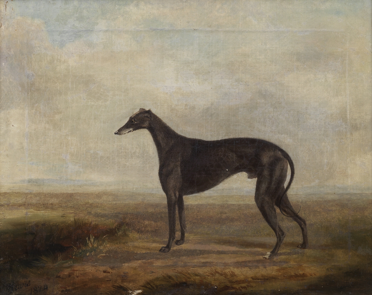 William Henry Davis (British, 1786-1865) A favourite greyhound