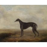 William Henry Davis (British, 1786-1865) A favourite greyhound