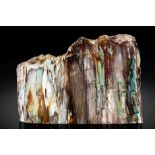 Tranche de bois p&#233;trifi&#233; &#171;bois de Colla&#187; Petrified 'Colla' Wood Slab