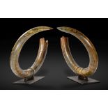 Paire de d&#233;fenses de mammouth laineux Pair of Woolly Mammoth Tusks