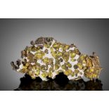 Importante m&#233;t&#233;orite pallasite de Krasnoyarsk Krasnoyarsk Pallasite &#8211; An Importa...