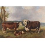 John Alfred Wheeler of Bath (British, 1821-1903) Pedigree Herefordshire cattle - a bull, cow and ...