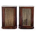 A pair of mahogany cabinets First half 19th century and adapted (2)