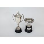 Two trophies dating from 1981 ((2))