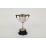 The Castrol Trophy awarded to first place at the M.C.N Superbike round