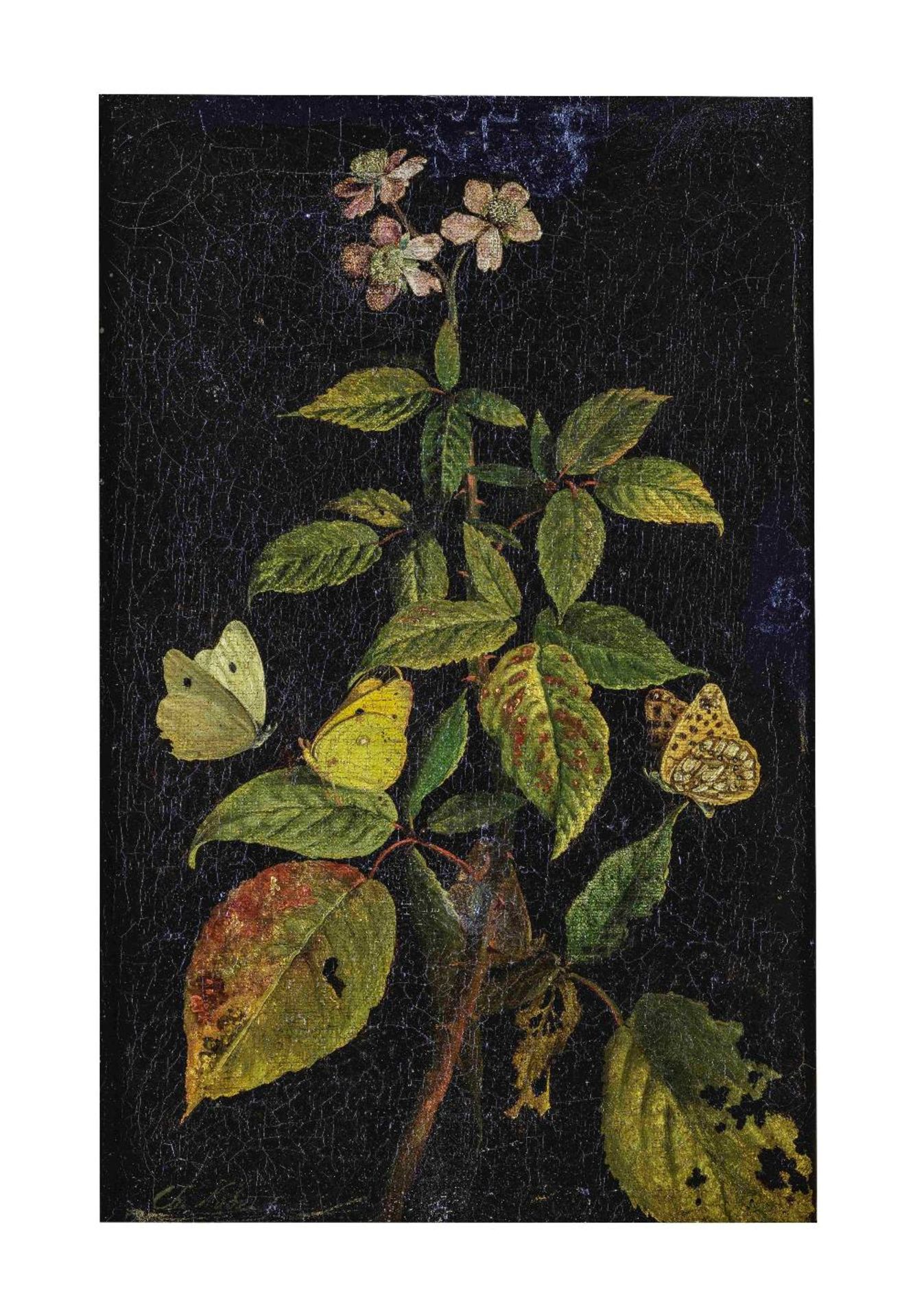 Charles-Joseph Node (Marseilles 1811-1886) Nature morte aux fleurs; Nature morte aux ronce et pap... - Image 3 of 9