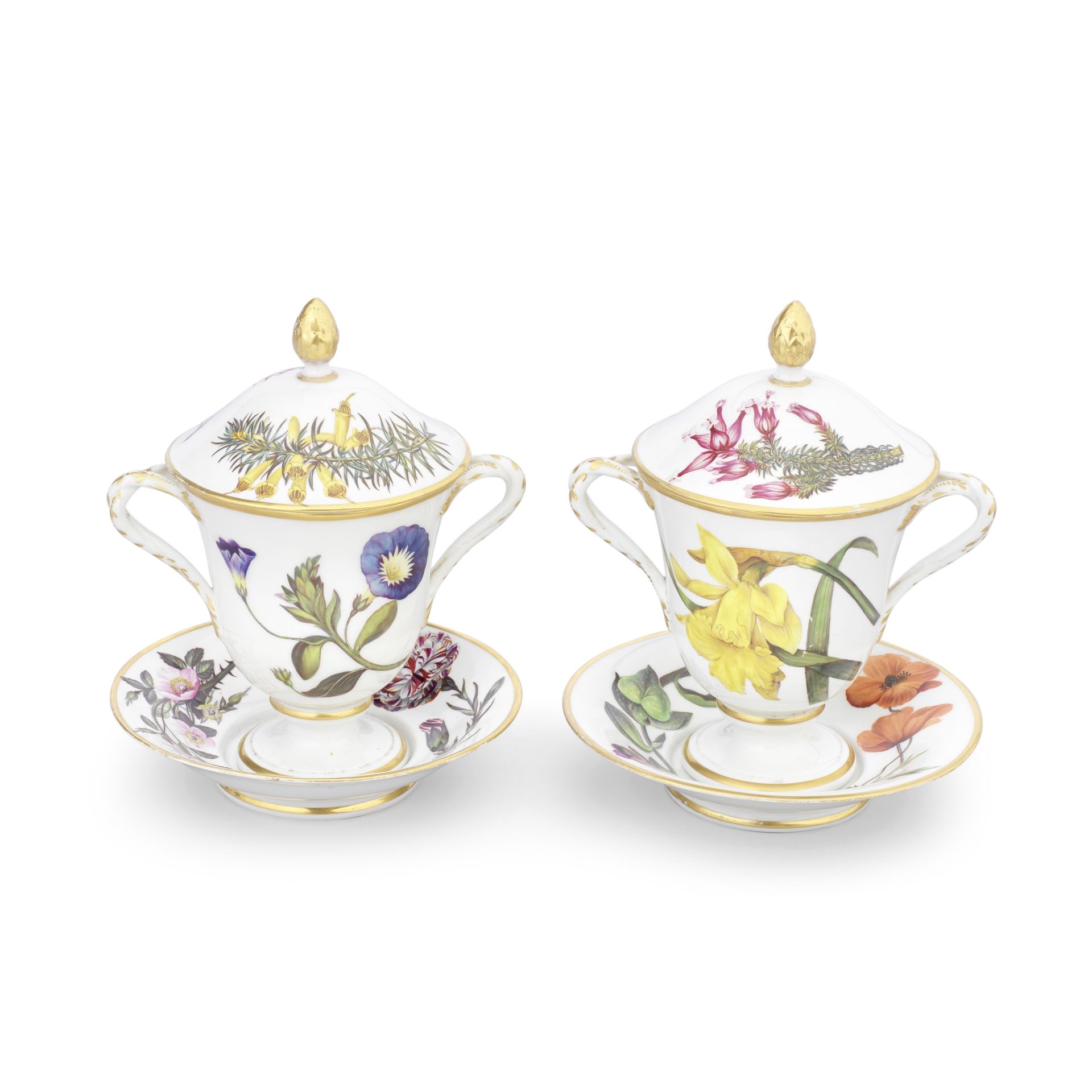 A pair of very unusual Derby two-handled botanical cups, covers and stands, circa 1800