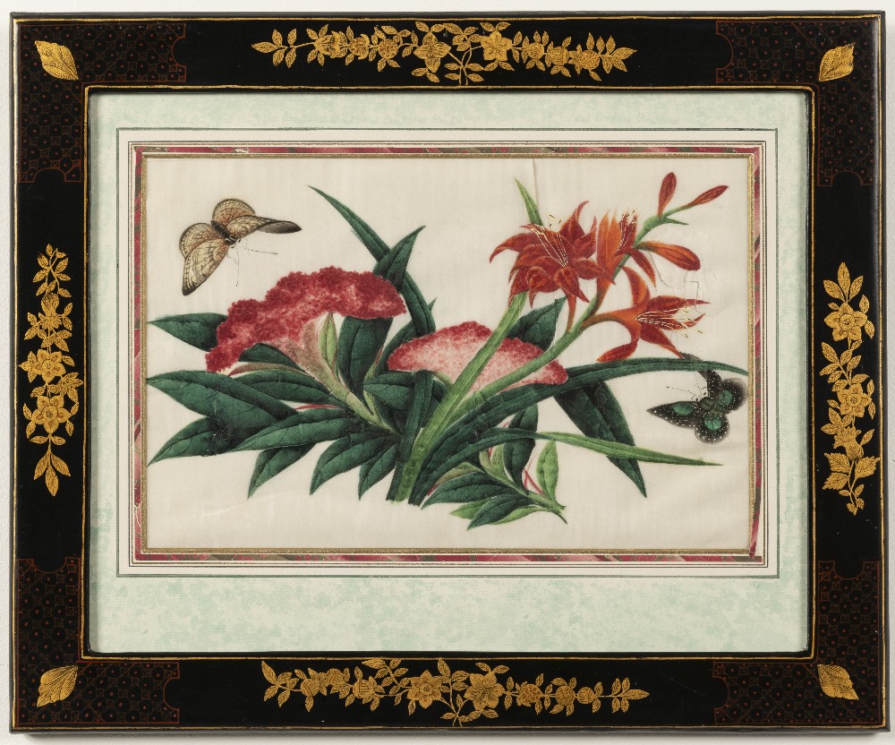 Chinese School, 19th Century Studies of flowers including peonies and camellias and butterflies i... - Image 10 of 12