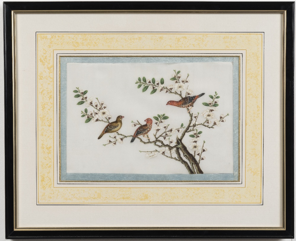 Chinese School, 19th Century Studies of exotic East Asian birds against blossoming branches A set... - Image 16 of 16