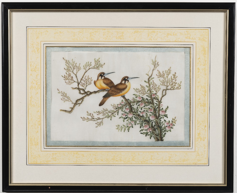 Chinese School, 19th Century Studies of exotic East Asian birds against blossoming branches A set... - Image 14 of 16