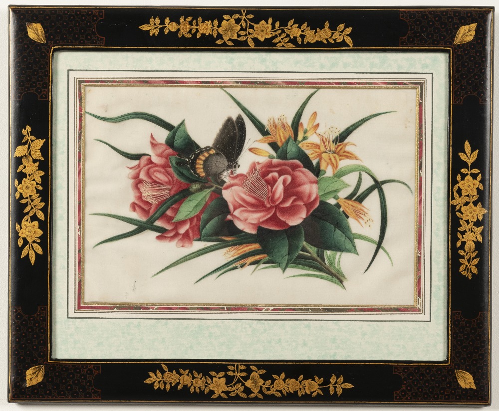 Chinese School, 19th Century Studies of flowers including peonies and camellias and butterflies i... - Image 5 of 12