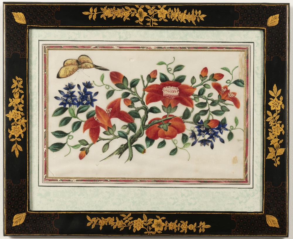 Chinese School, 19th Century Studies of flowers including peonies and camellias and butterflies i... - Image 7 of 12