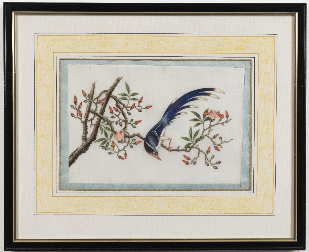 Chinese School, 19th Century Studies of exotic East Asian birds against blossoming branches A set... - Image 13 of 16