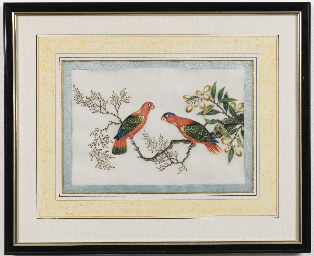 Chinese School, 19th Century Studies of exotic East Asian birds against blossoming branches A set... - Image 15 of 16