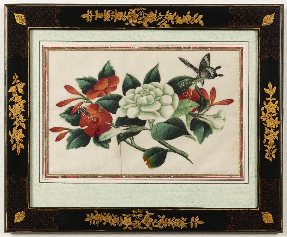 Chinese School, 19th Century Studies of flowers including peonies and camellias and butterflies i... - Image 6 of 12