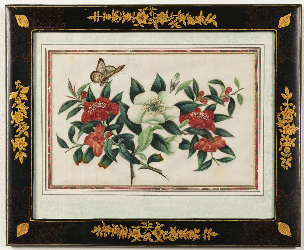 Chinese School, 19th Century Studies of flowers including peonies and camellias and butterflies i... - Image 2 of 12