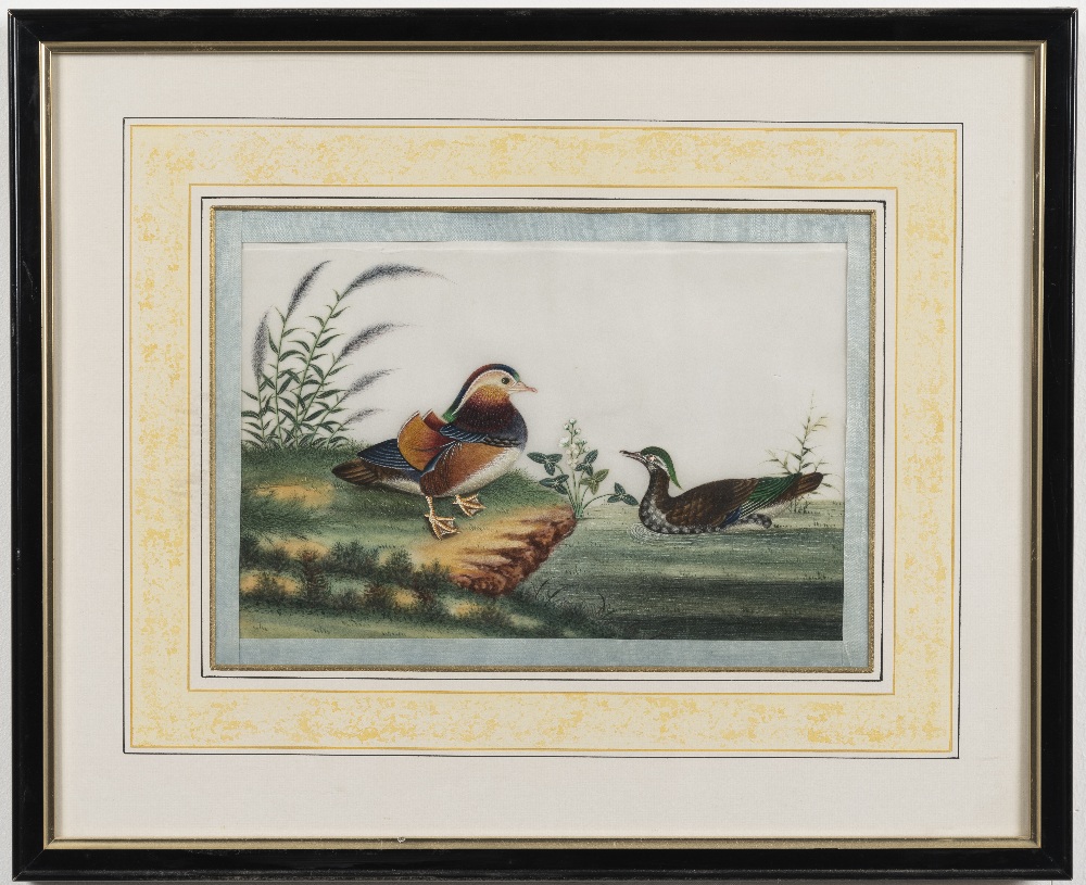 Chinese School, 19th Century Studies of exotic East Asian birds against blossoming branches A set... - Image 11 of 16