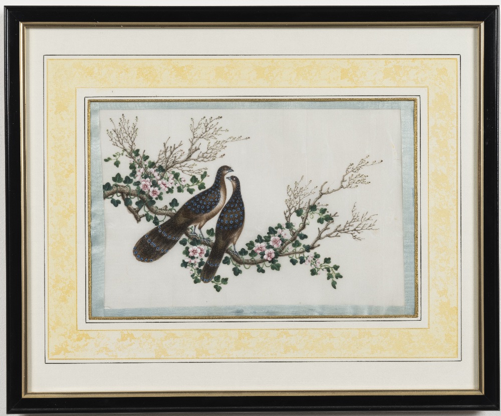 Chinese School, 19th Century Studies of exotic East Asian birds against blossoming branches A set... - Image 7 of 16