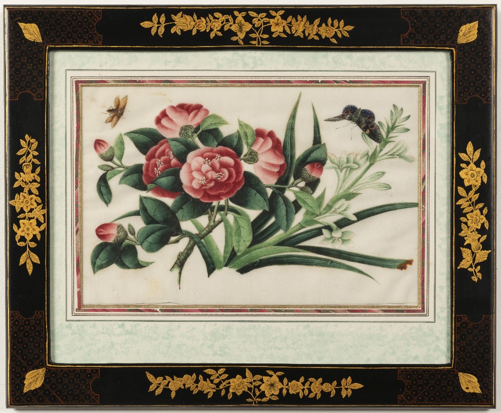 Chinese School, 19th Century Studies of flowers including peonies and camellias and butterflies i... - Image 12 of 12