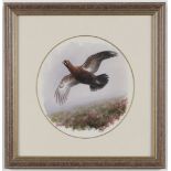 Rodger McPhail (British, born 1953) Grouse in flight Tondo, 18cm (7 1/16in) diameter (Together w...