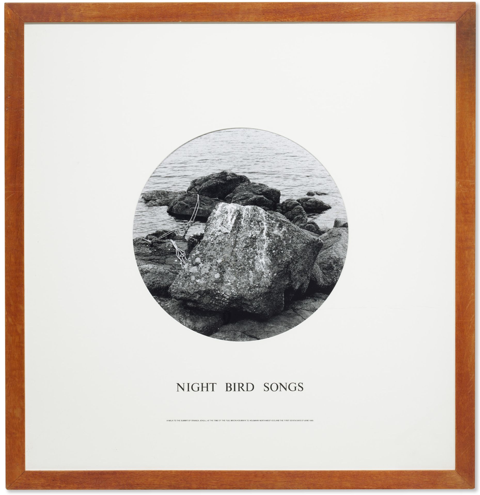 HAMISH FULTON (N&#233; en 1946) Night Bird Songs A walk to the summit of Dranga Jokull at the tim...