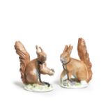 A rare pair of Meissen models of red squirrels, mid 18th century
