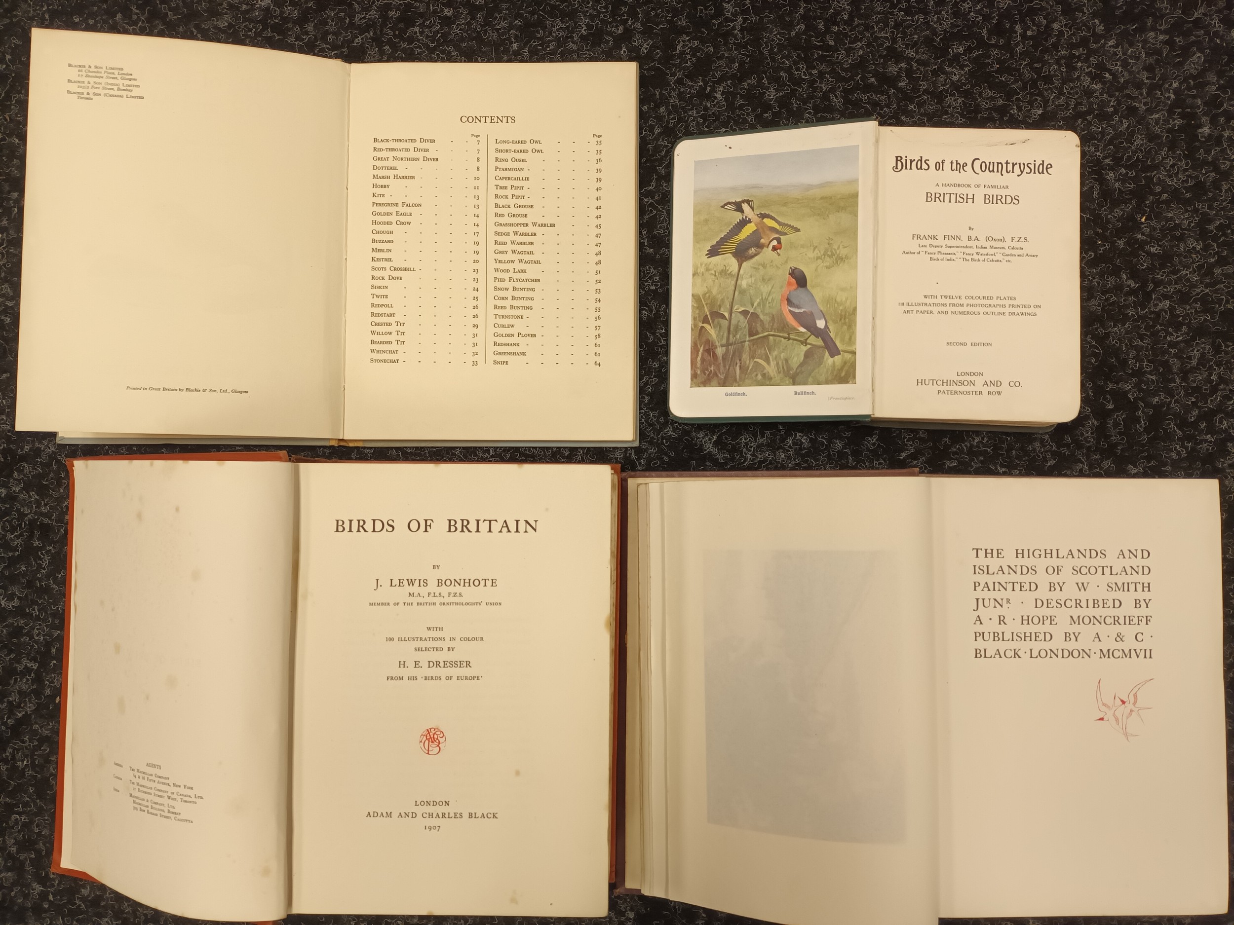 Selection of books titled Birds of the Countryside 1907,Birds of Britain 1907,Birds of the hill moor - Bild 2 aus 2
