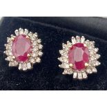 A Pair of 14ct yellow gold Ruby and Diamond earrings. [2.8ct's approx] [ruby 6.9x4.9x2.4mm]