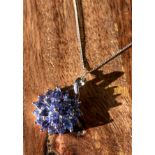 A 9ct white gold ladies Tanzanite Pendant with 9ct white gold chain . [3.47grams] [Chain 44cm in
