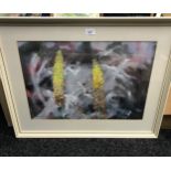 An original watercolour titled 'Fading Eremurus Bungei' by Lily Cottrell. 58x75cm