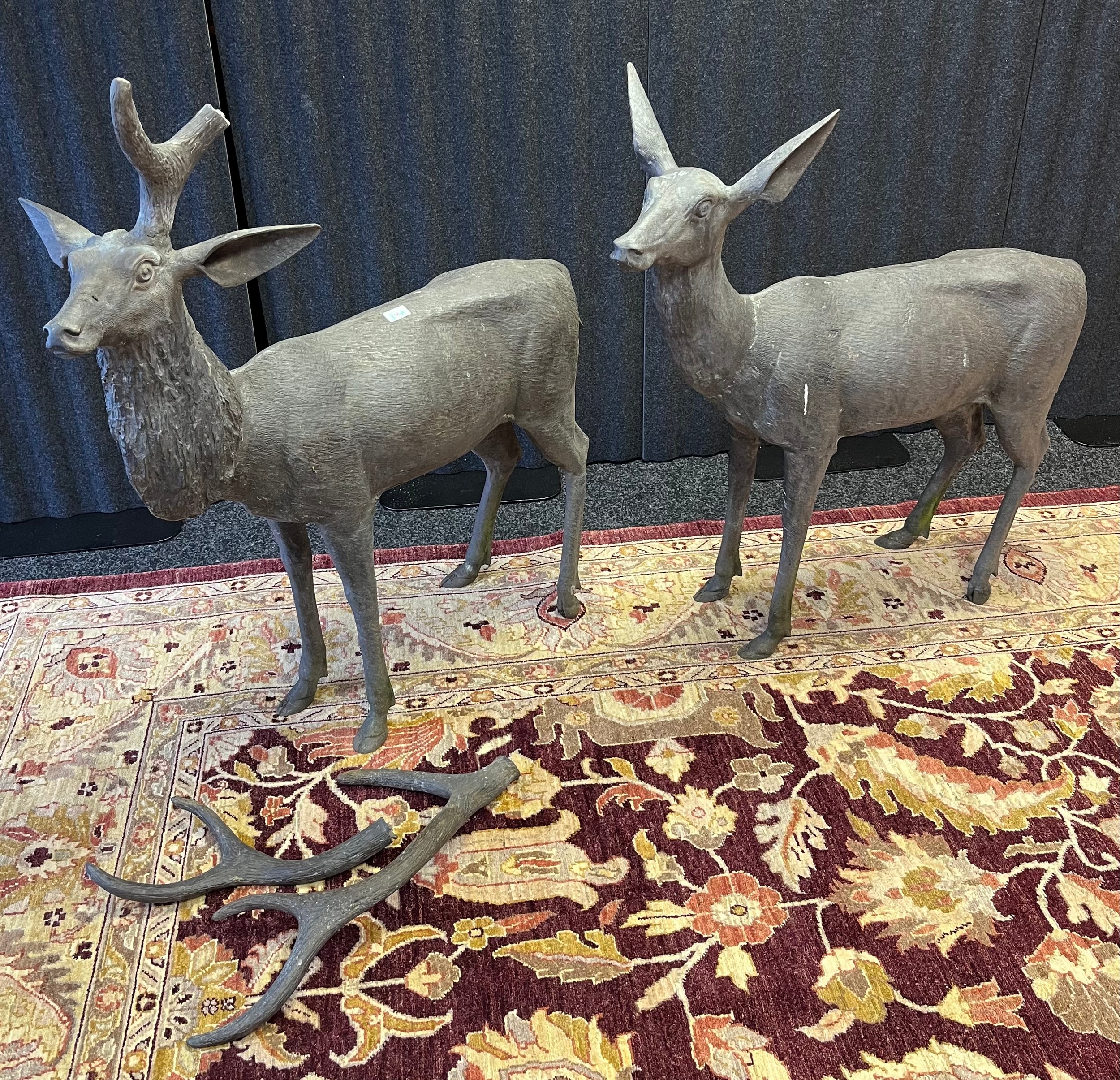 Two large and weighted Bronze stag and doe sculptures. [Damage to antlers] [Doe-101X102CM]