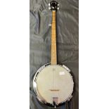 Boston five string banjo.