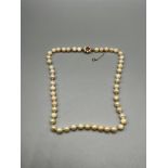 Antique ladies pearl necklace set with a 9ct gold, citrine and pearl clasp.