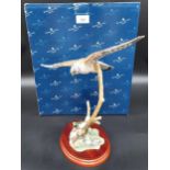 Border Fine Arts Birds by Russell Willis A1275 Flying Kestrel figure. Comes with original box.