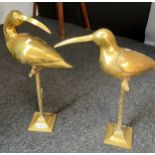A Pair of Large Gilt brass bird sculptures on perches. [48cm high]