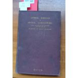 Sayre, Lewis A.: Spinal Disease and Spinal Curvature their Treatment by Suspension and the Use of