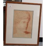 Red chalk drawing of classical statue [58x49cm]