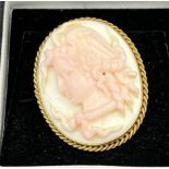 Yellow gold and carved cameo brooch.