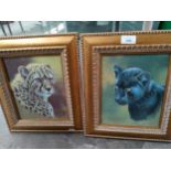 Pair of Stephen Gayford wild cat prints framed, both signed in gold pen.