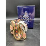 Royal crown Derby old imari snake with box . 8 cm in height .