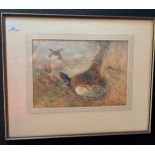 William Woodhouse Original watercolour drawing, artwork depicts pheasants. Details to back of frame.