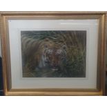 Joel Kirk (British, b.1948) Original Pastel depicting Tiger, with Valuation Certificate. This