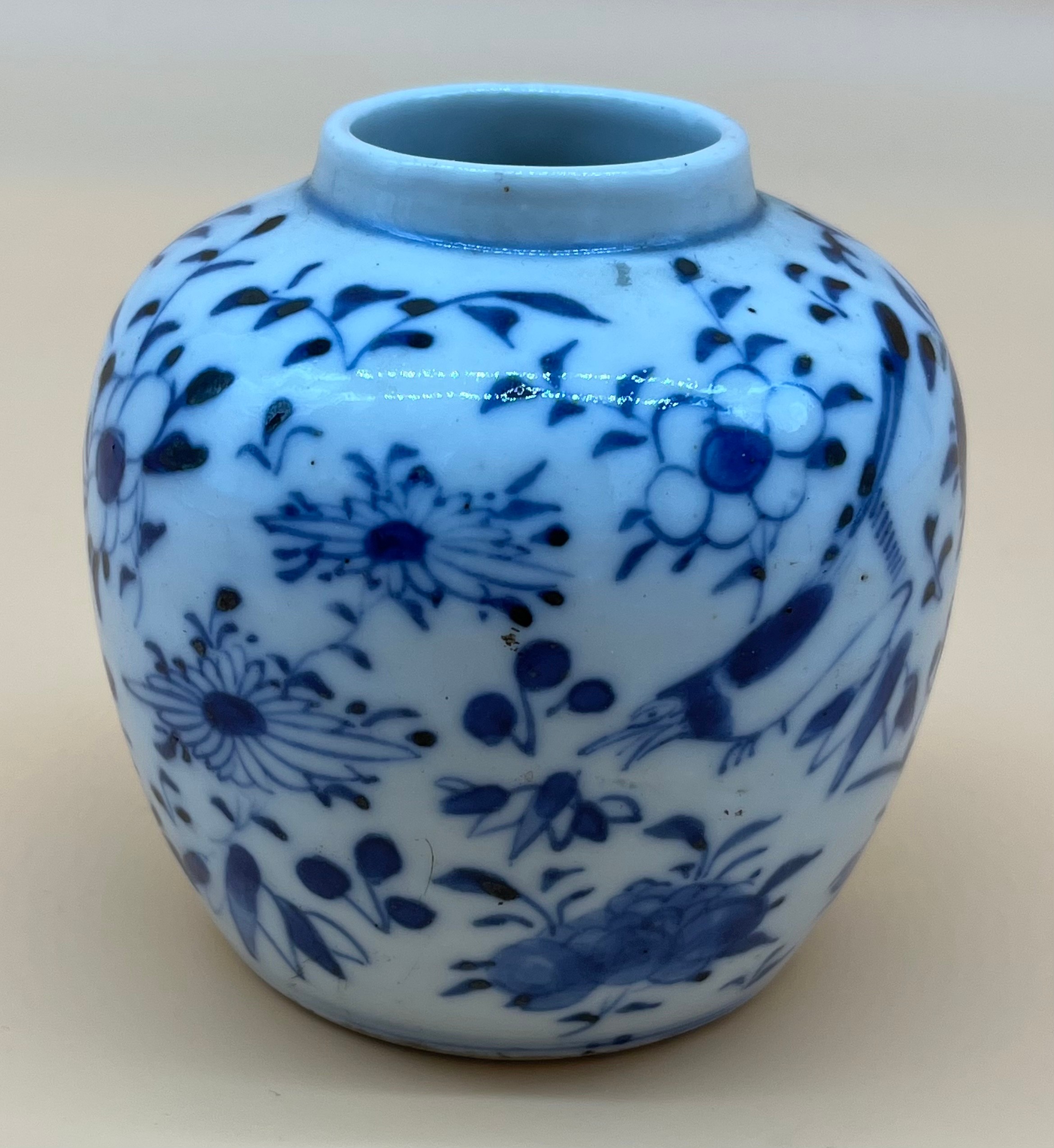 19th century Chinese Kangxi Nian Zhi blue and white small preserve pot. Hand painted with birds,