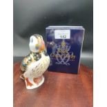 Royal crown Derby puffin paperweight with stopper and box.