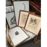 Mixed lot of cat pictures to include signed limited editions