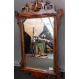 Georgian carved scroll framed mirror with central gilt painted moulded bird [85x50cm]