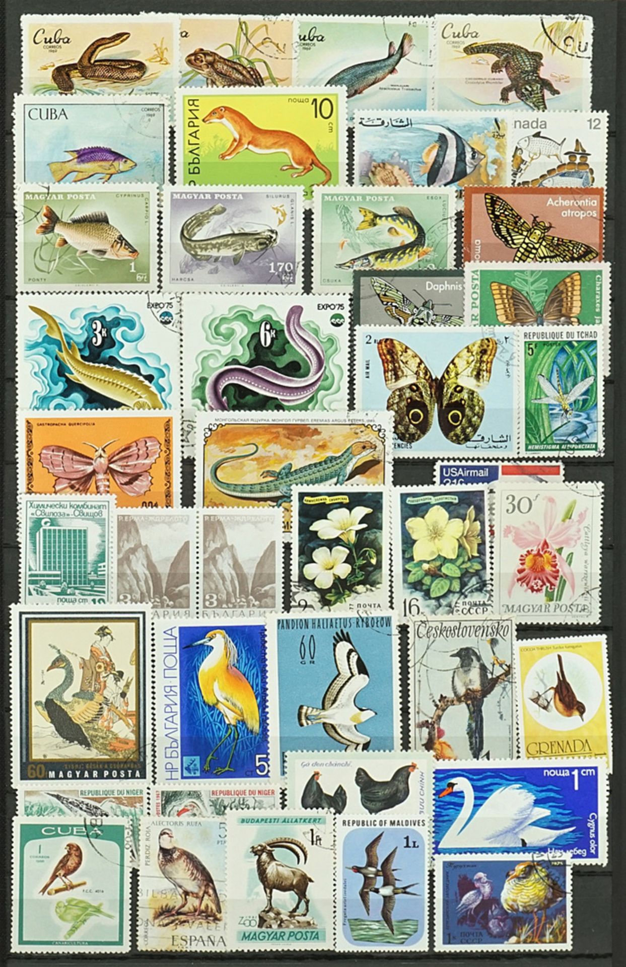 Ca. 3980 Briefmarken und Blocks aus aller Welt - Bild 2 aus 7